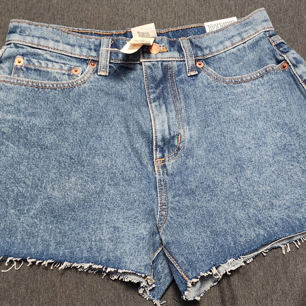 Victoria's Secret PINK Light Blue Women's High Waisted Shorts